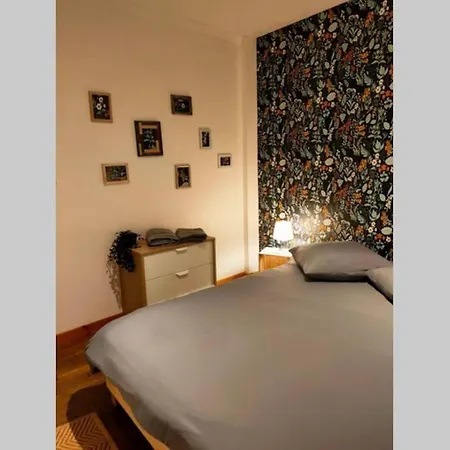 Appart Hyper Centre Appartement